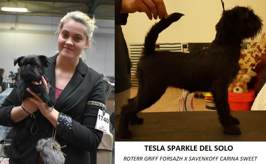 26196306 2005271923094631 563350542354470711 n