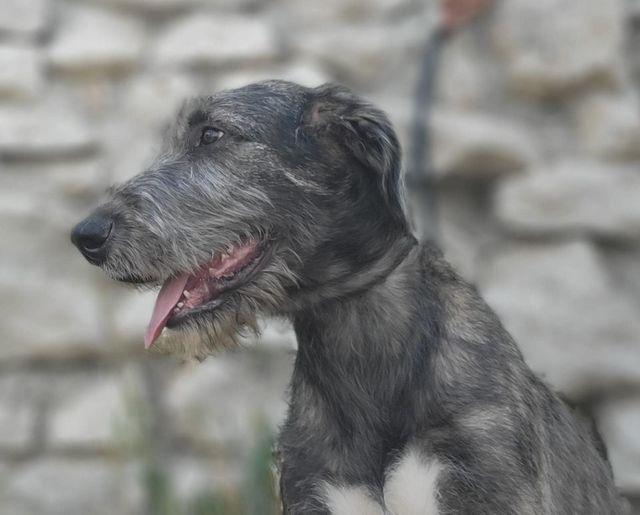 298545669 5596372100375100 2690803403360918665 n