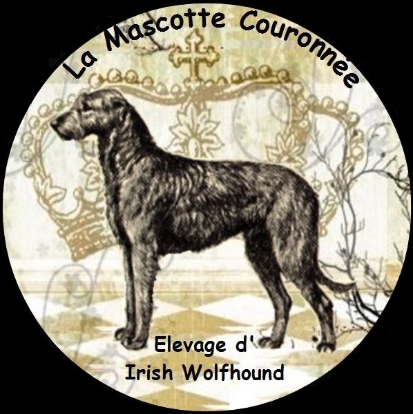 Logo site